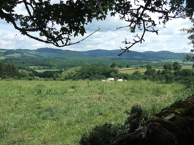 2010-05- (122).JPG